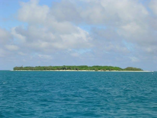 Lady Musgrave Island cruising guide