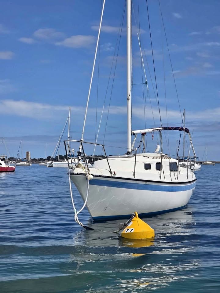 Bruce Roberts 24 for sale in Rockingham, WA - photo 1