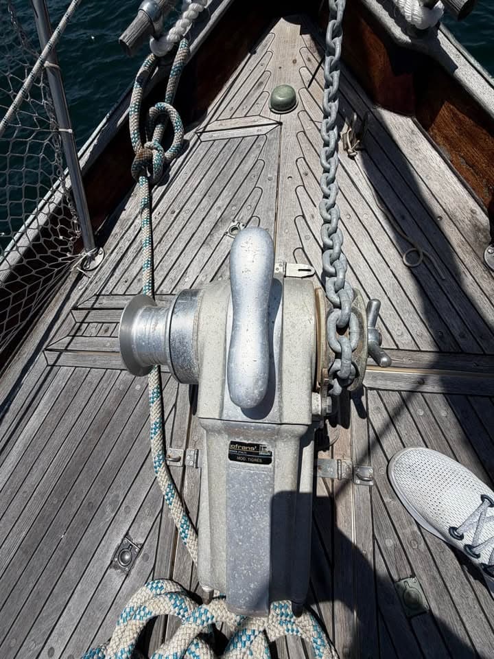 1981 Vindo 65 for sale in Sydney, NSW - photo 5