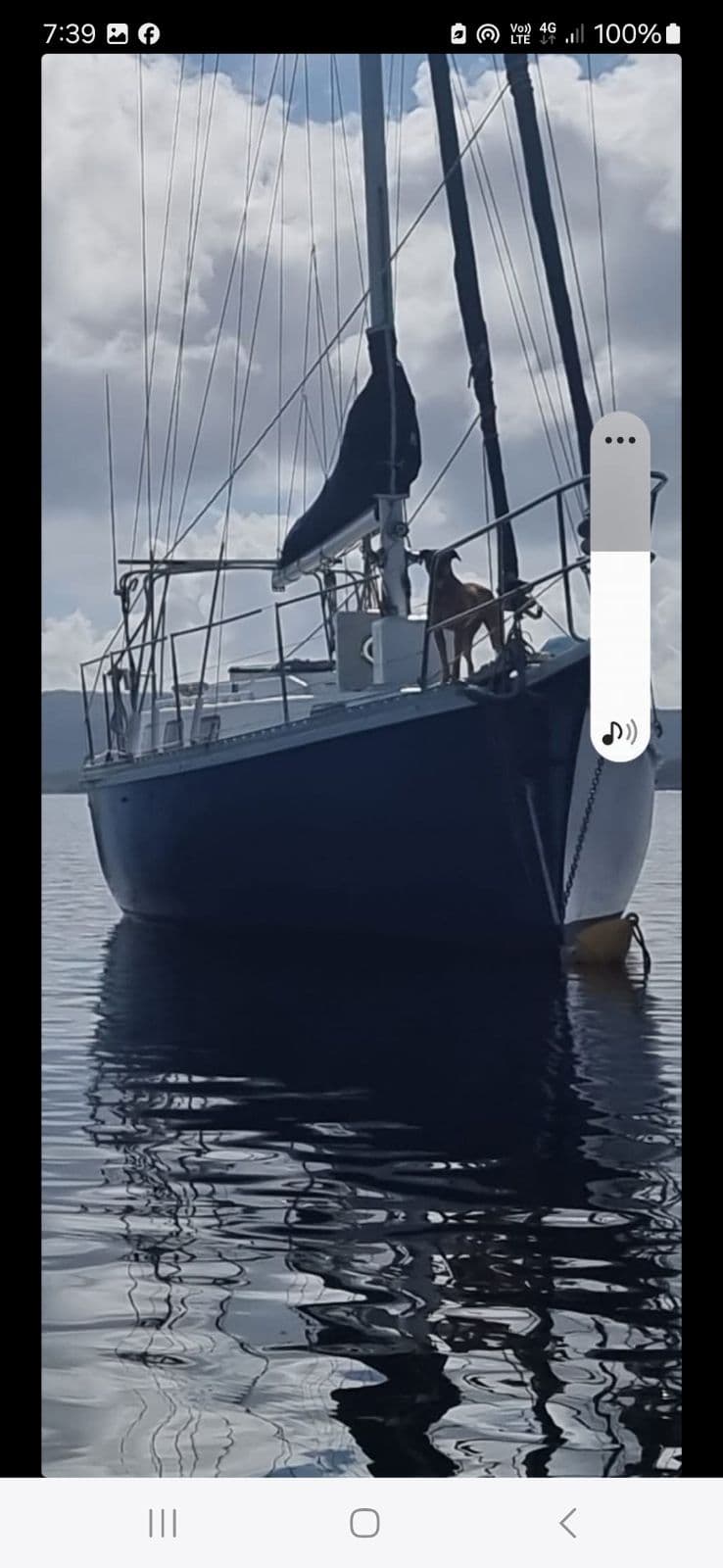 1980 Herreshoff for sale in Tin Can Bay, QLD - photo 3