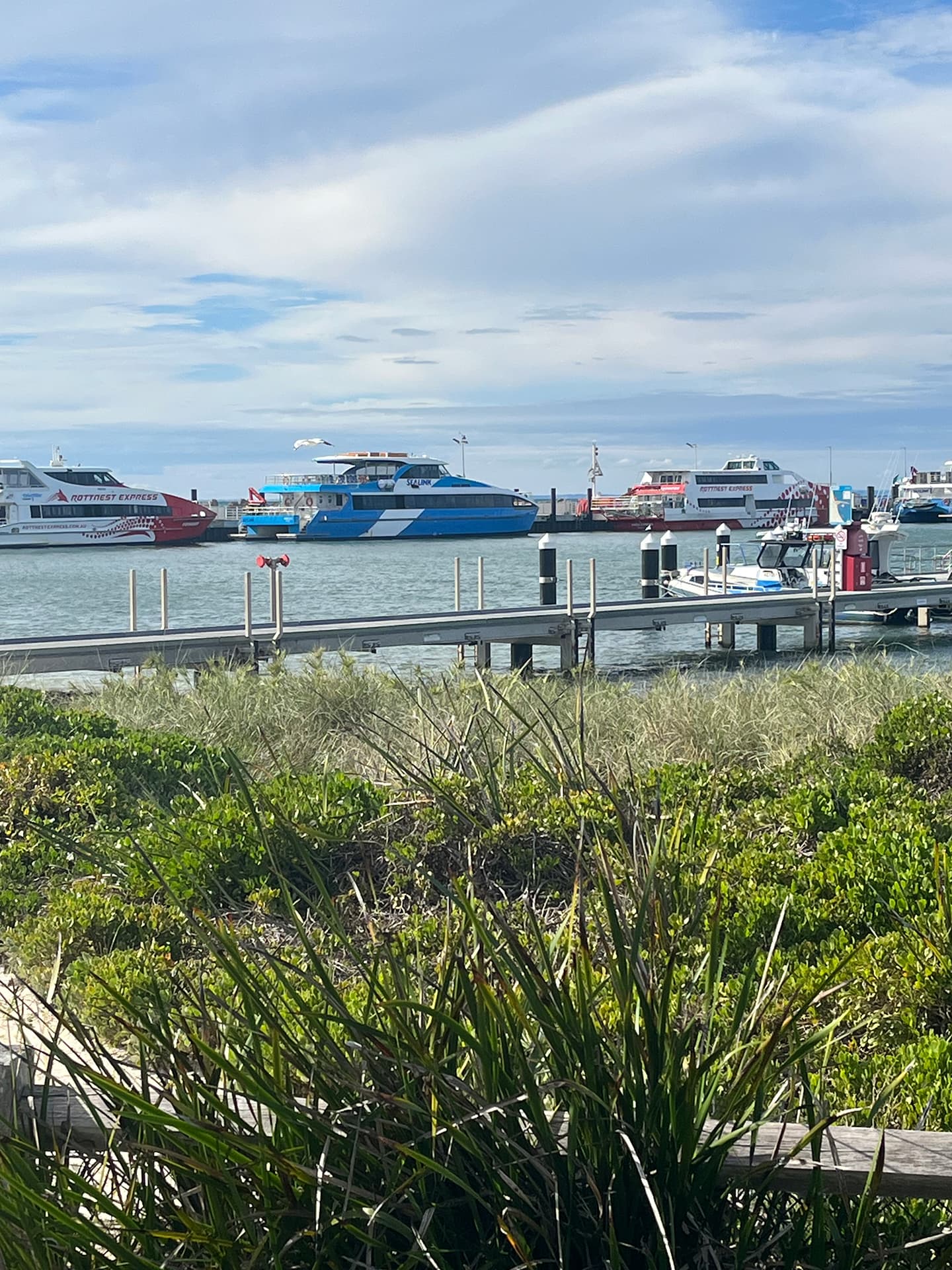 Thomson Bay photo 2