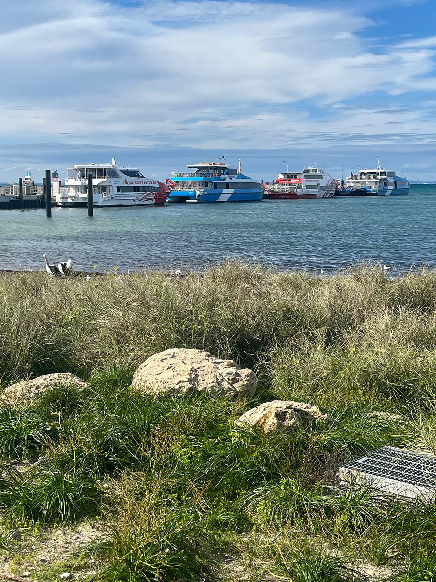 Thomson Bay photo 3