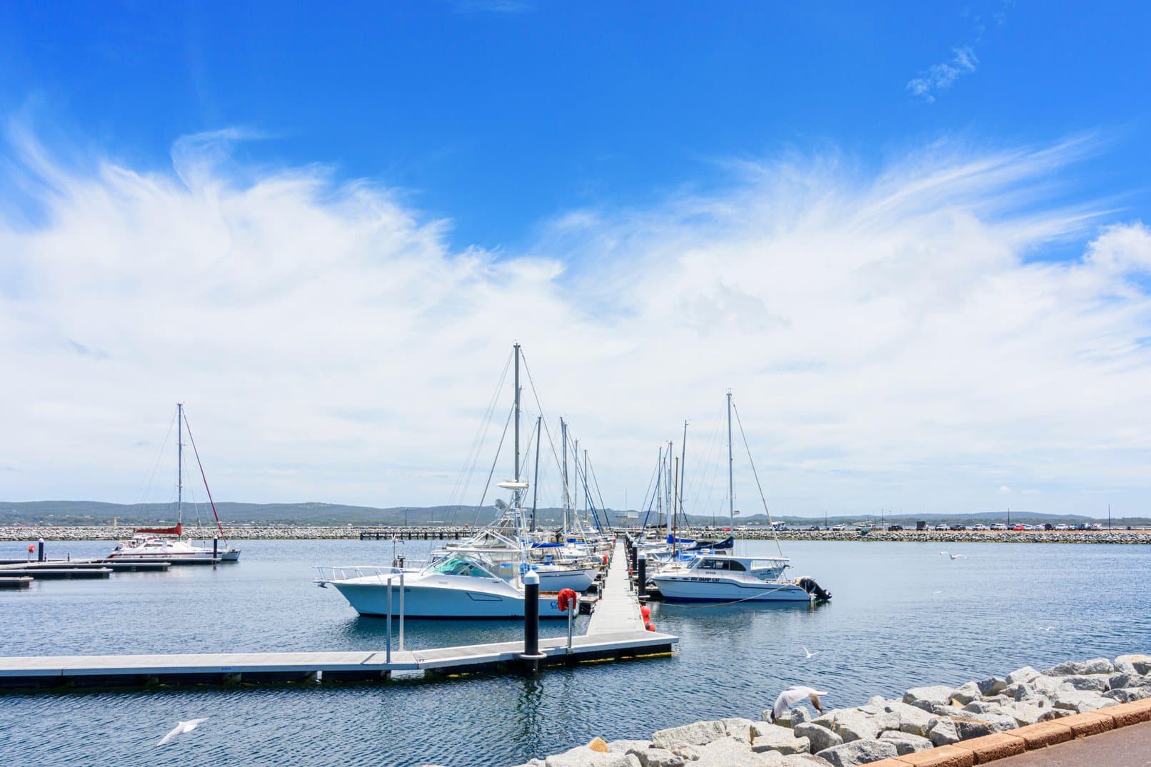 Albany Waterfront Marina photo